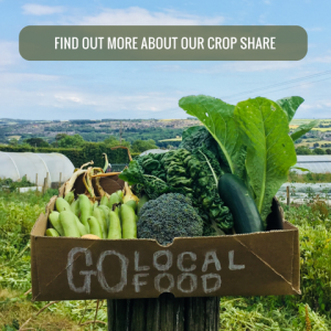 find out about our crop share