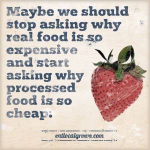 cost of real food